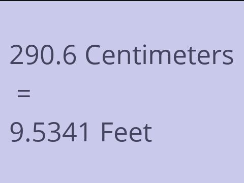 290.6 CM TO FEET