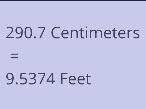 290.7 CM TO FEET