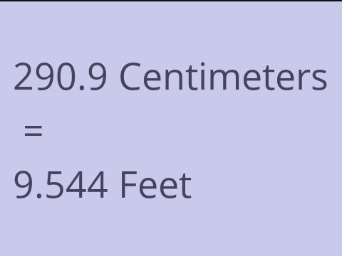 290.9 CM TO FEET