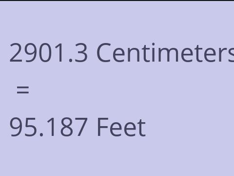 2901.3 CM TO FEET