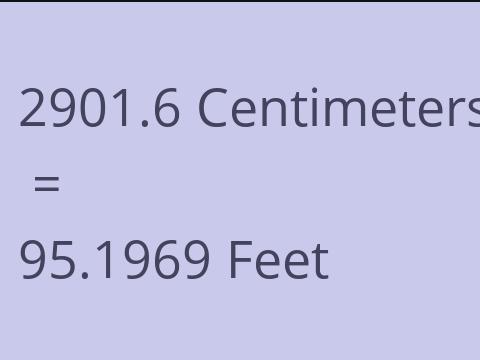 2901.6 CM TO FEET