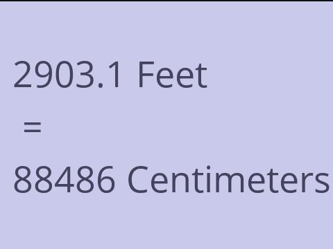 2903.1 FEET TO CM