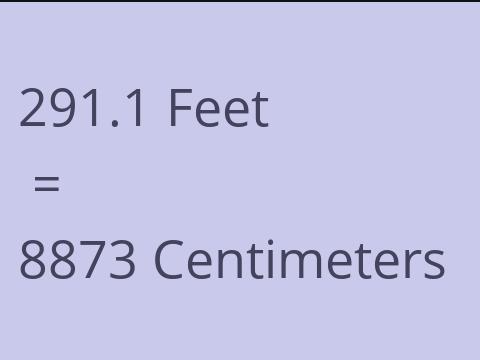 291.1 FEET TO CM