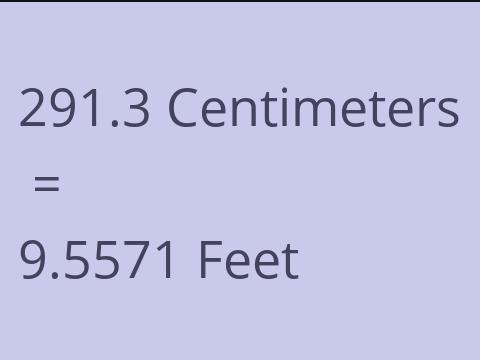 291.3 CM TO FEET