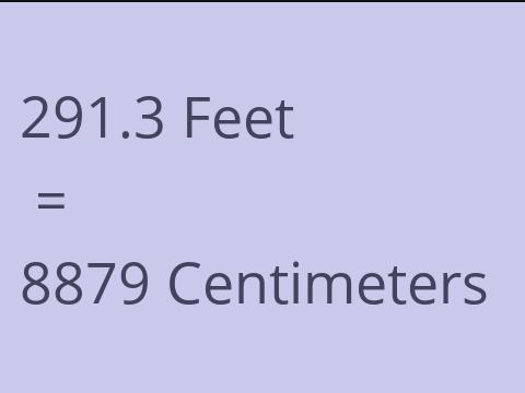 291.3 FEET TO CM