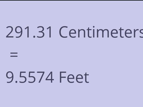 291.31 CM TO FEET