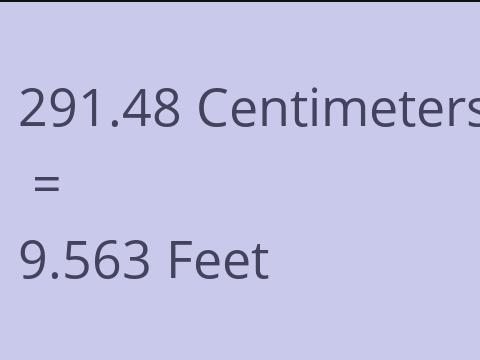 291.48 CM TO FEET