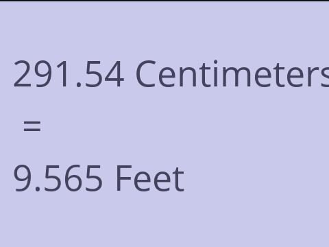 291.54 CM TO FEET