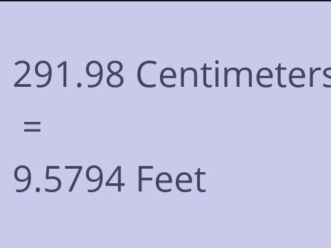 291.98 CM TO FEET