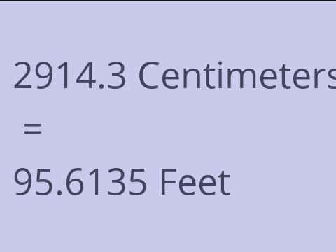 2914.3 CM TO FEET