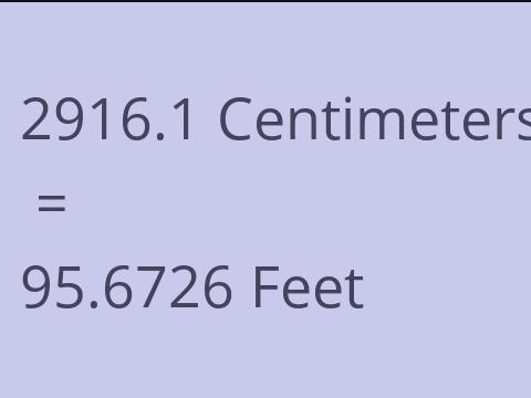 2916.1 CM TO FEET