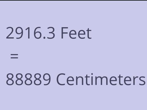 2916.3 FEET TO CM