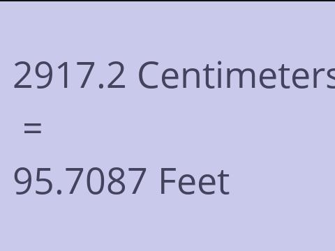 2917.2 CM TO FEET