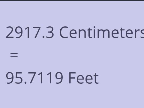 2917.3 CM TO FEET