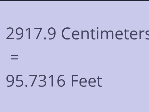 2917.9 CM TO FEET