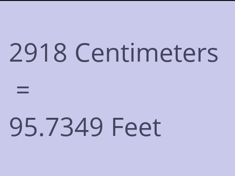 2918 CM TO FEET