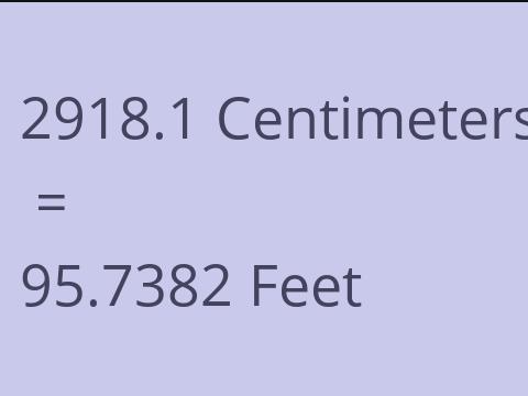 2918.1 CM TO FEET