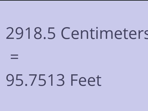 2918.5 CM TO FEET