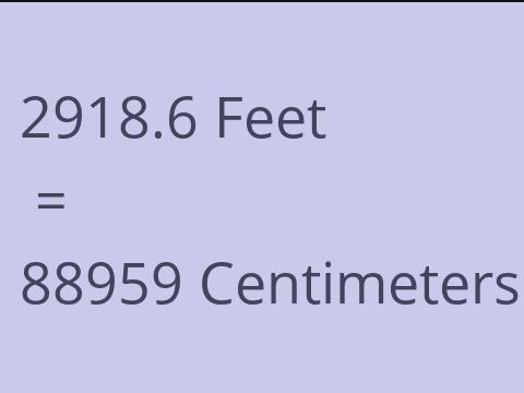 2918.6 FEET TO CM