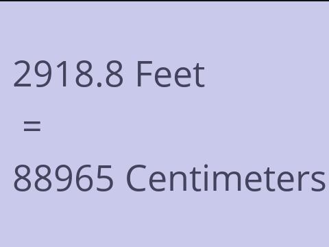 2918.8 FEET TO CM