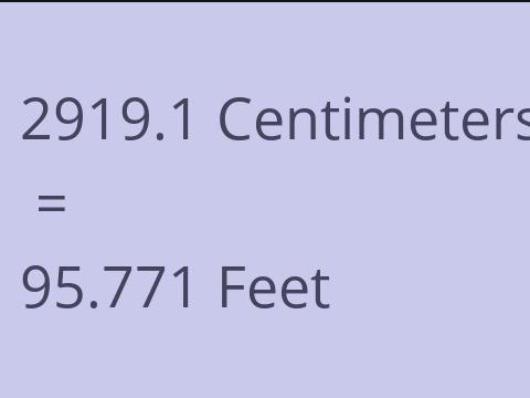 2919.1 CM TO FEET