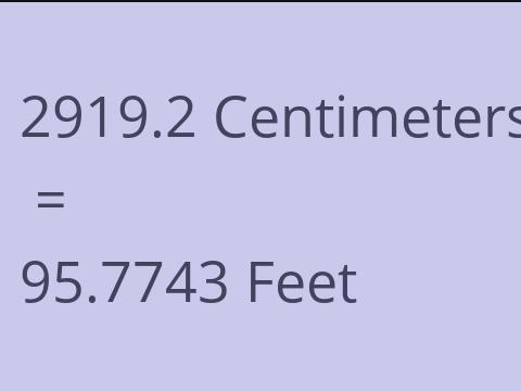 2919.2 CM TO FEET