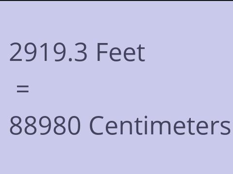 2919.3 FEET TO CM