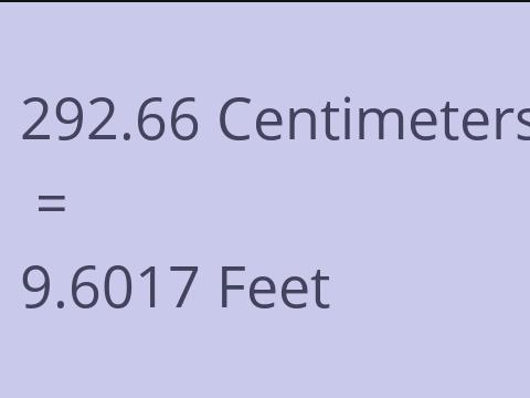 292.66 CM TO FEET