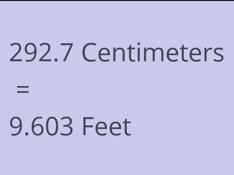 292.7 CM TO FEET