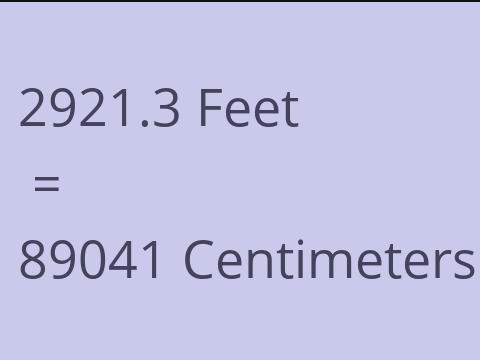 2921.3 FEET TO CM