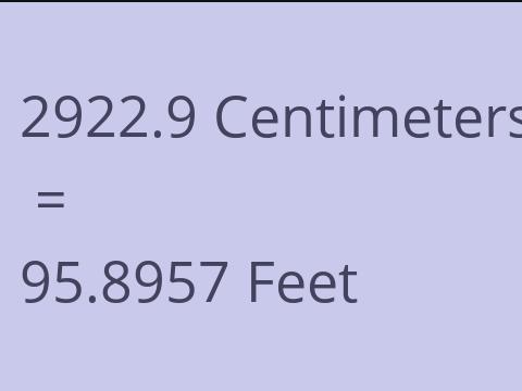 2922.9 CM TO FEET