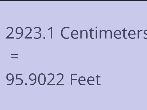 2923.1 CM TO FEET