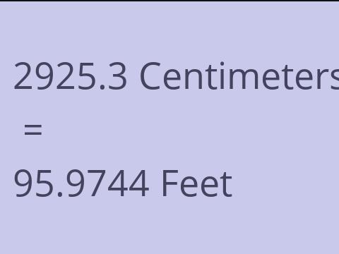 2925.3 CM TO FEET
