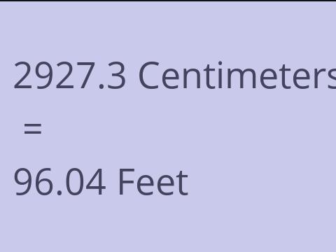 2927.3 CM TO FEET