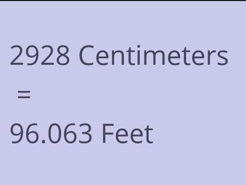 2928 CM TO FEET