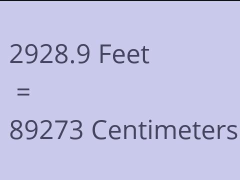 2928.9 FEET TO CM