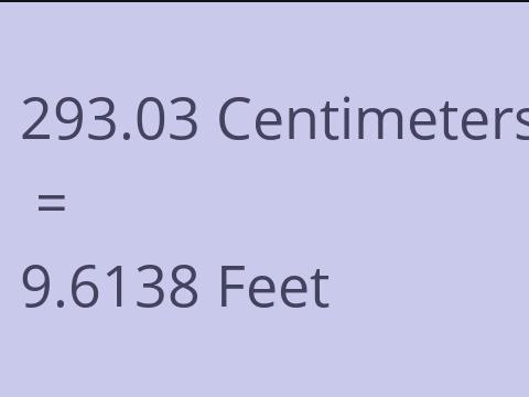 293.03 CM TO FEET