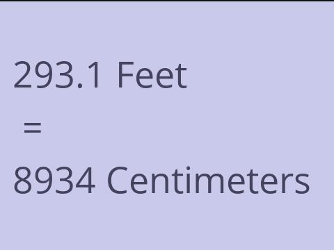 293.1 FEET TO CM