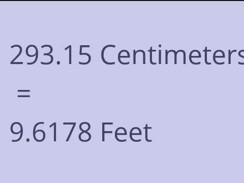 293.15 CM TO FEET