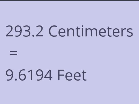 293.2 CM TO FEET