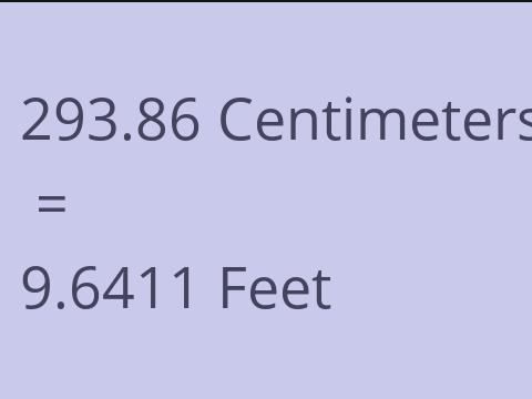 293.86 CM TO FEET