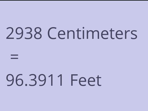 2938 CM TO FEET