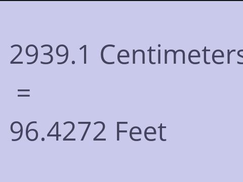 2939.1 CM TO FEET