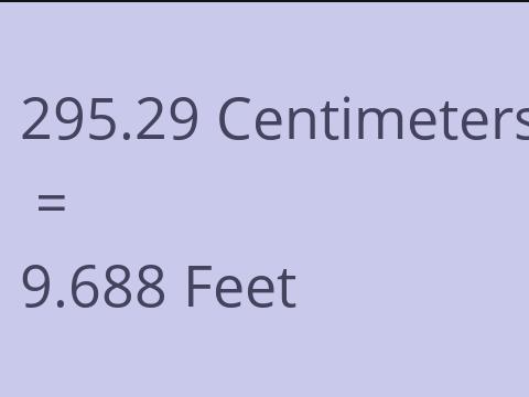 295.29 CM TO FEET