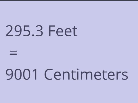 295.3 FEET TO CM