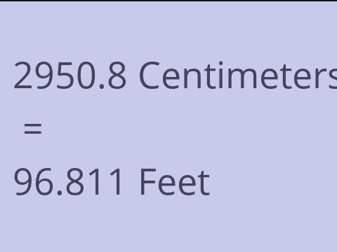 2950.8 CM TO FEET