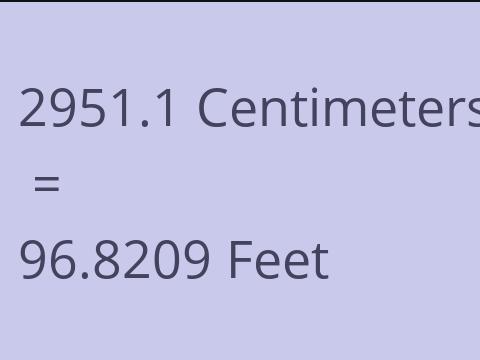 2951.1 CM TO FEET