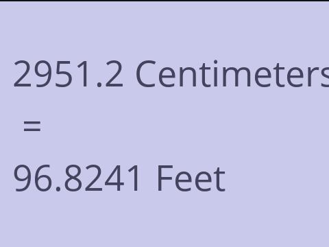 2951.2 CM TO FEET