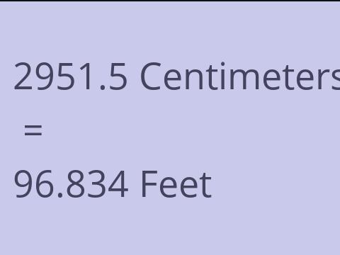 2951.5 CM TO FEET