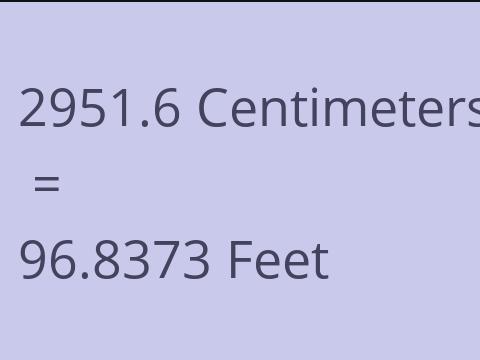 2951.6 CM TO FEET